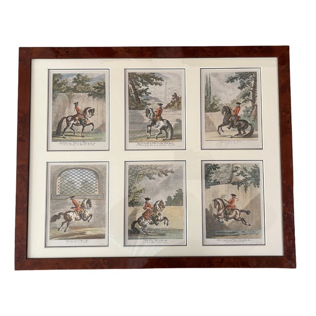 Johann Elias Ridinger, Equestrian Engravings, 1760, Etching, Framed For Sale