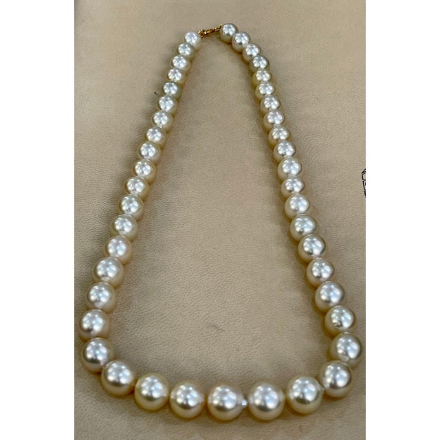 Graduating Cream Color South Sea Pearls Necklace 14 Karat Yellow Gold Clasp For Sale - Image 12 of 18