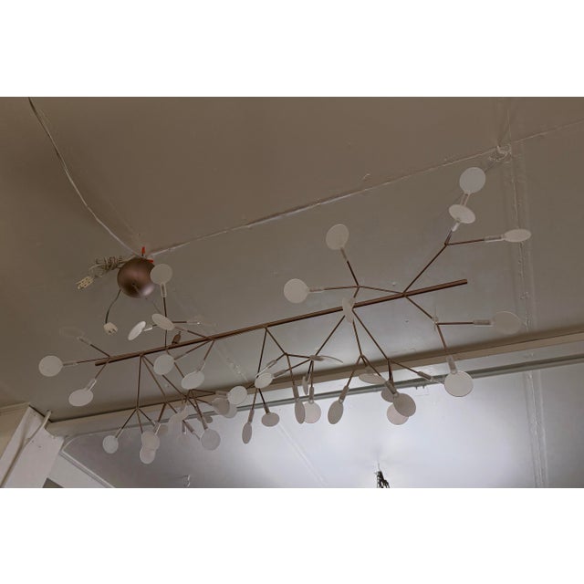 2020s Bertjan Pot for Moooi Heracleum Endless Suspension Lamp For Sale - Image 5 of 12