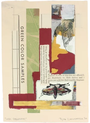 "The Collector" Collage by Rob Delamater