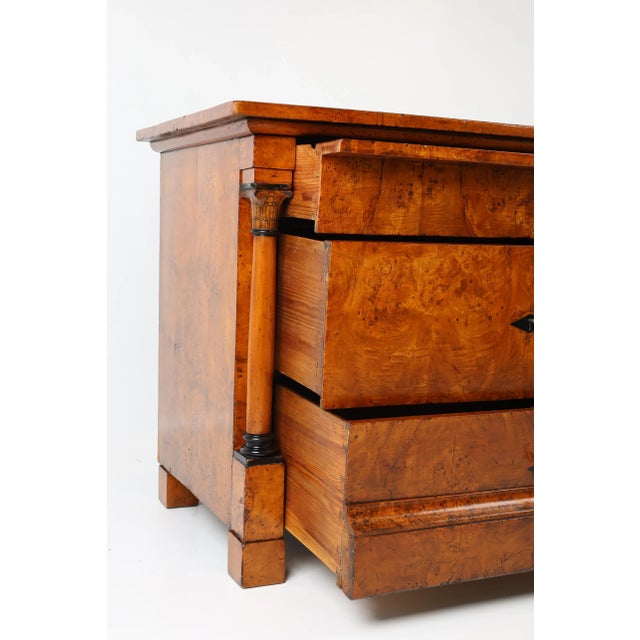 Biedermeier Karelian Curly Birch Chest of Drawers, 1820s For Sale - Image 9 of 14