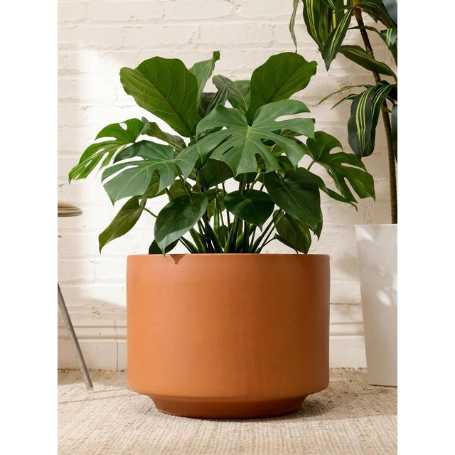A generously scaled vintage planter with a clean cylindrical silhouette and warm terracotta-toned finish. The simple,...