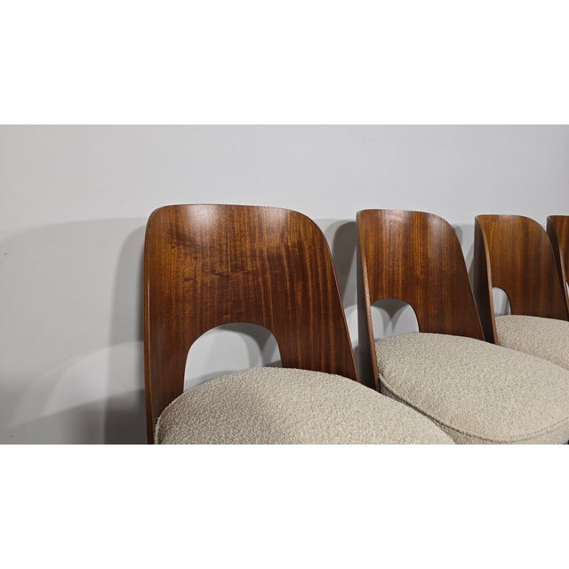 Oswald Haerdtl Dining Chairs from Oswald Haerdtl, 1950s, Set of 4 For Sale - Image 4 of 14