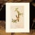 1966 Vintage Cottage Print "Bewick's Wren" After John James Audubon For Sale In Dallas - Image 6 of 7