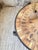 Round Herbarium Coffee Table by Roger Capron, 1950s For Sale - Image 10 of 18