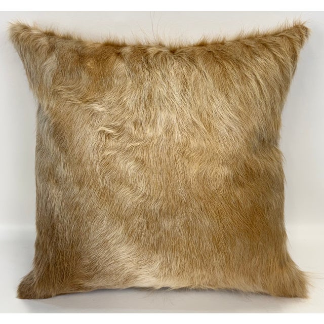 18” X 18” Premium Colombian Champagne Long-Haired Cowhide Pillow Cover - Handcrafted by Pablo Sota Designs For Sale In Tampa - Image 6 of 11