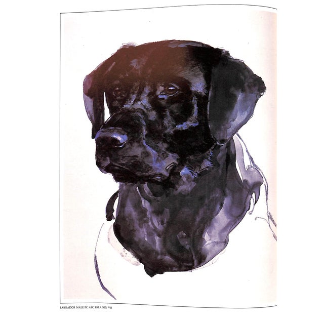 White "The Working Retrievers" Book 1983 Quinn, Tom For Sale - Image 8 of 12