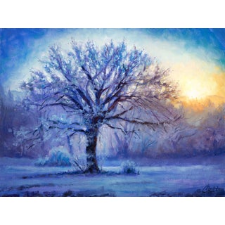 Icy Morning Light by Christopher Clark | Oil on canvas Winter landscape with a frosted tree. For Sale