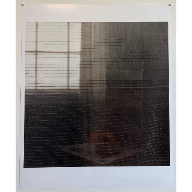 Peter C. Jones 1, Gray Afternoon, Large Format Flower Photo 24X20 Color Photograph Beach House, 2005 For Sale In Miami - Image 6 of 6