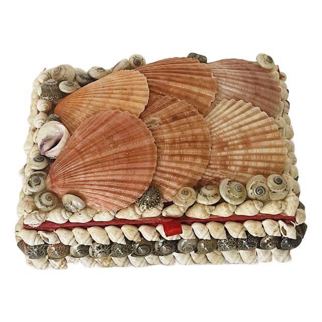 Antique Sailors Valentines Sea Shell Encrusted Jewelry Box For Sale
