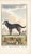 1758 Buffon Dog Engraving "Le Chien De Berger" (The Sheepdog) For Sale