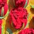Framed 3d Stumpwork Textile Wall Art - Vintage Botanical Red Roses on Yellow For Sale - Image 13 of 16