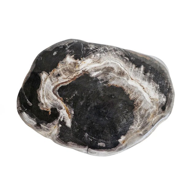 Early 21st Century Vintage Petrified Stump Stool / Side Table For Sale - Image 5 of 5