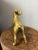 Vintage English Brass Dog For Sale - Image 4 of 6