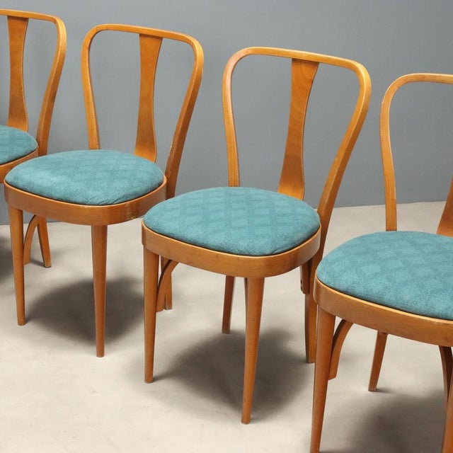 Beech Dining Chairs, 1960s, Set of 6 For Sale - Image 3 of 10