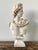 Ceramic Ceramic Apollo Belvedere Bust Sculpture For Sale - Image 7 of 18