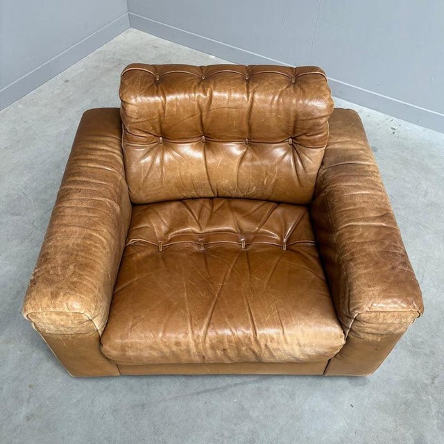 Animal Skin DS40 Lounge Chair by Robert Haussmann for De Sede, 1970s For Sale - Image 7 of 14