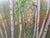 20th Century Woodland Watercolor Art For Sale In New York - Image 6 of 7