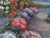 Early 20th Century European School, Garden Path to a Thatched Cottage. Oil on Canvas, Signed For Sale - Image 4 of 5