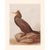 An excellent Cottage, Nautical, Traditional or American Classical Style vintage reproduction of the original lithographic...