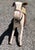 Vintage Child's Rocking Horse Toy For Sale In New York - Image 6 of 13