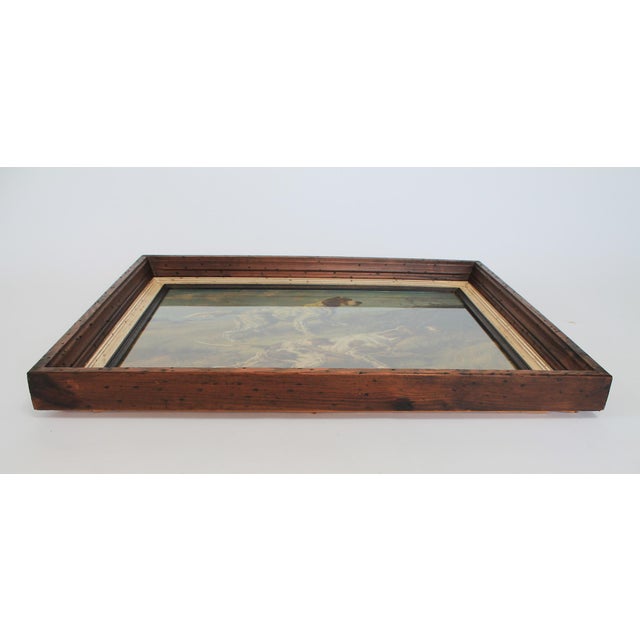 Framed Vintage Sporting Art Hunting Dogs Print by Edmund Henry Osthaus For Sale - Image 4 of 10