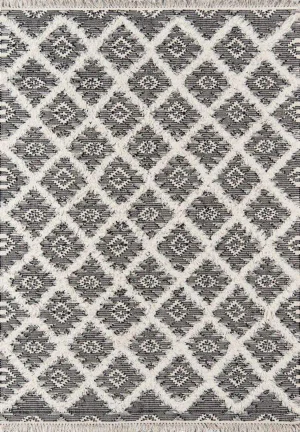 Harper Black Hand Woven Area Rug 2' X 3'