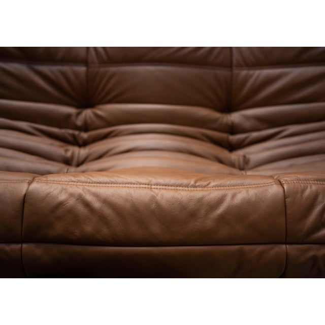 Animal Skin Brown Leather Togo Living Room Set by Michel Ducaroy for Ligne Roset, Set of 5 For Sale - Image 7 of 18