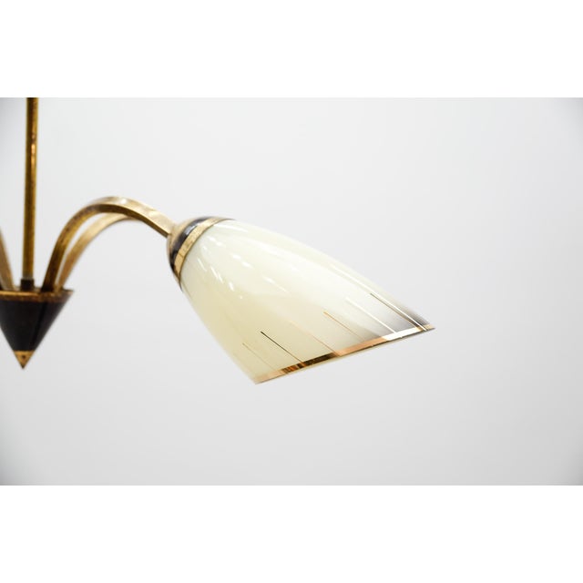 Mid-Century Modern Four-Armed Brass Sputnik Lamp, 1950s For Sale - Image 11 of 13