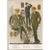 The Royal Tailors – Golf & Norfolk Suits – Vintage Men’s Fashion Plate For Sale