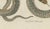 19th Century Bertuch, Two Snakes with Bold Head Markings, 1805, Print For Sale - Image 5 of 12