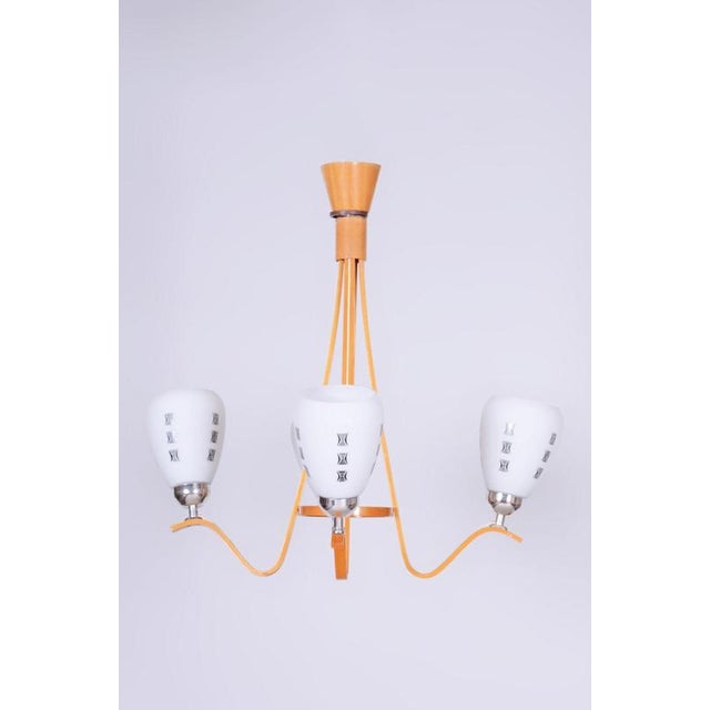 Mid-Century Chandelier in Beech and Glass from Dřevo Humpolec, Czech, 1960s For Sale - Image 3 of 13