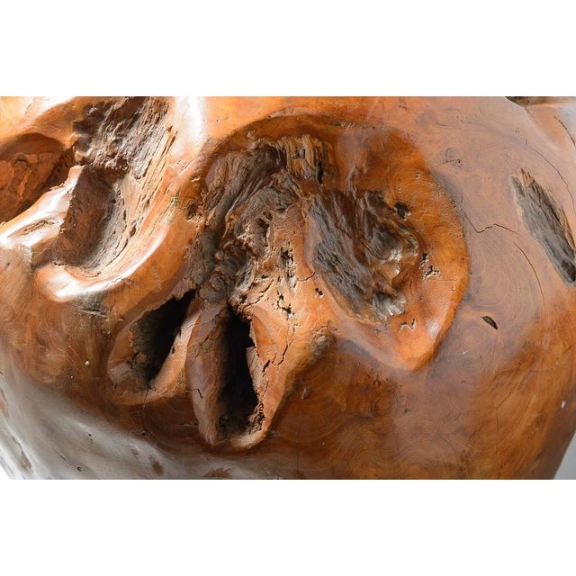 Rare Burl Wood Massive Polished Sphere Sculpture, 21" For Sale In West Palm - Image 6 of 12