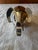 Silver Mid 20th Century Napier Silver Elephant Coin Bank For Sale - Image 8 of 11
