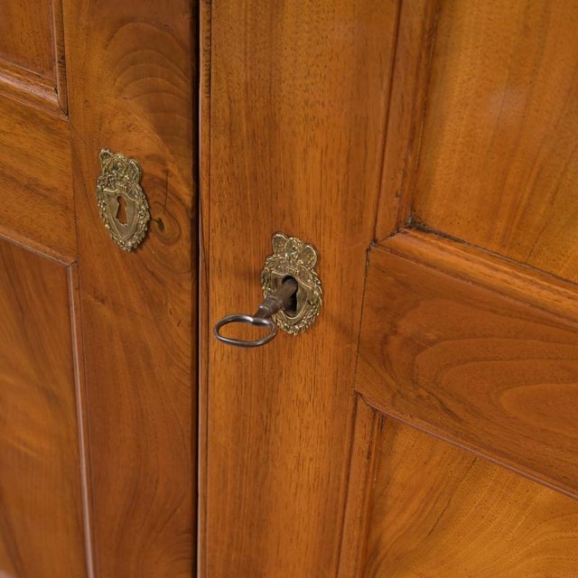 Biedermeier Walnut Cabinet, Rheinhessen, 1830s For Sale - Image 3 of 11