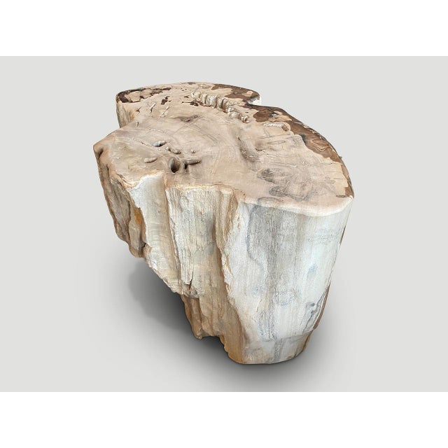 Andrianna Shamaris Ancient Petrified Wood Side Table or Coffee Table For Sale - Image 14 of 18