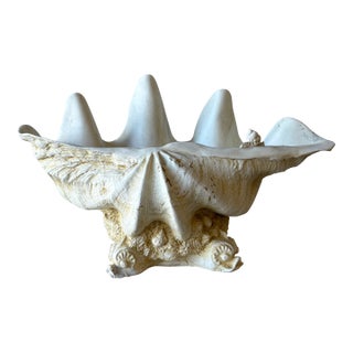 Vintage Monumental Shell Vessel For Sale