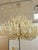 The Seychelles Coco Chandelier by Palacek is an exquisitely arranged lighting fixture that will bring a touch of tropical-...
