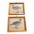 Antique Beverly Morris Original Bean Goose & Grey Lag Goose Framed Prints c.1855 - Set of 2 For Sale