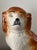 Antique English Staffordshire Terrier, Early 20th Century For Sale - Image 11 of 11