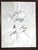 2010s Abstract Drawing in Graphite and Watercolor "Inter Dimensional Vortex" by CL Auker For Sale - Image 5 of 5