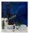 Oidentifirad Konstnär, Still Life with Peacock and Bottles, 1950s, Oil on Canvas For Sale