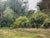 1950s Oil Painting Near the Forest Yakovlev B. N. For Sale - Image 4 of 12