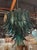 Modern Modern Palm Leaf Dark Green Murano Glass Waterfall Chandelier For Sale - Image 3 of 6