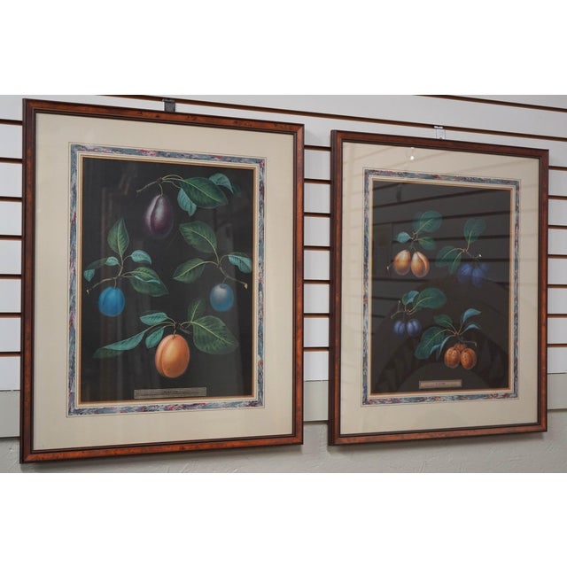 Age: Approx: 50 Years Old Details: ‘Green Fresh Melon’ Nice Decorative Prints Professionally Framed & Matted See Other...