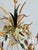 French Floral and Wheat Tole 6-Light Chandelier from Sofidis FlorArt, Late 20th Century For Sale - Image 9 of 18
