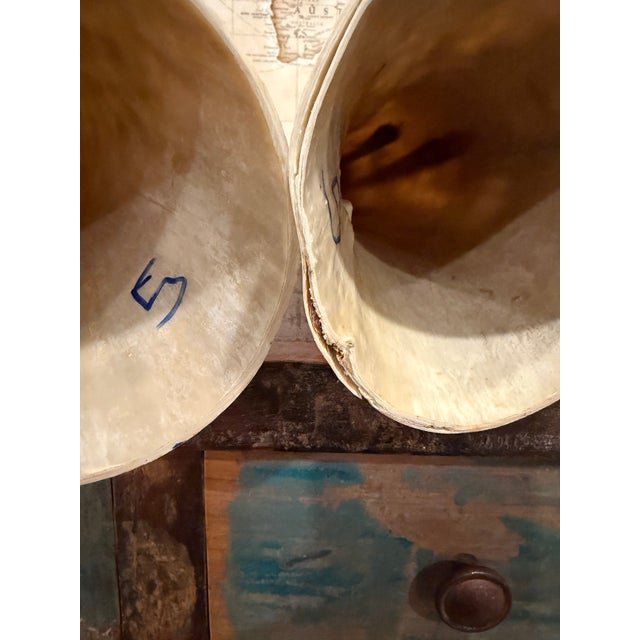 2010s Large Vintage Ankole Watusi Horn Pair – 28.5” Ugandan Cattle Horns – Sculptural Global Decor For Sale - Image 5 of 7