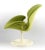 France & Son 1960s Aage Egeriis 'Orchidee' Swivel Armchair Vintage Danish Mid Century Modern For Sale - Image 4 of 9