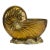 Large Vintage Solid Brass Nautilus Shell Planter Cachepot or Bottle Chiller For Sale