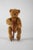 Mechanical Teddy Bear from Gebruder Bing For Sale - Image 9 of 9